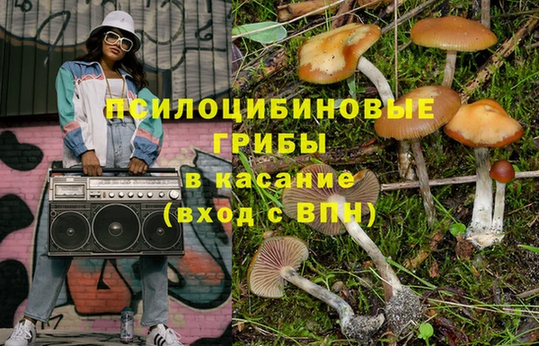 ГАЛЛЮЦИНОГЕННЫЕ ГРИБЫ Балахна