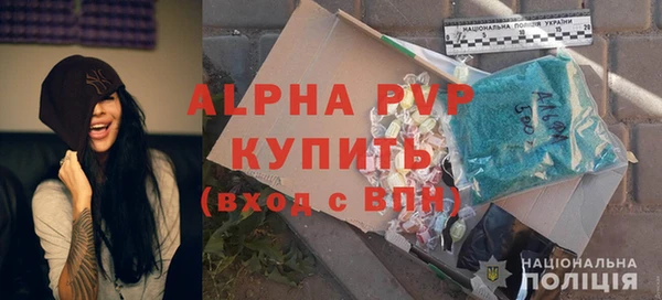 прущие грибы Беслан
