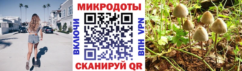 Псилоцибиновые грибы Magic Shrooms  блэк спрут онион  Бобров  купить наркоту 
